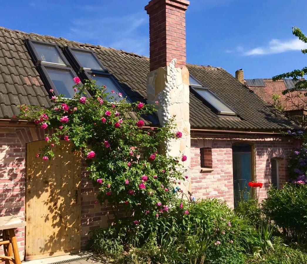 Boutique Hotel Shambala Zeitlos Wiedemar ภายนอก รูปภาพ